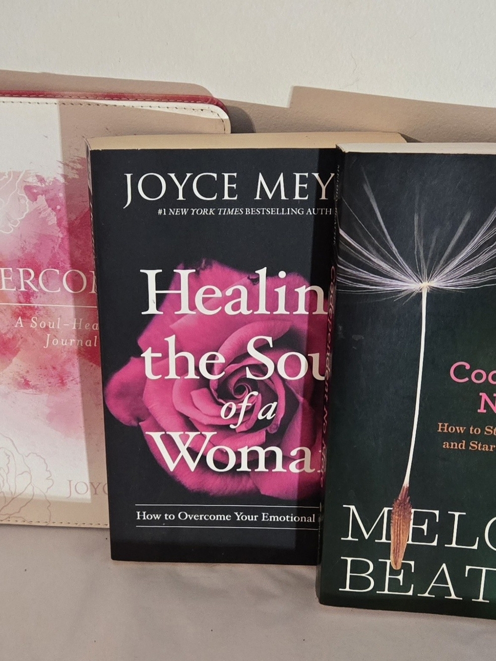 Healing the Soul of a Woman  & Journal Bundle
